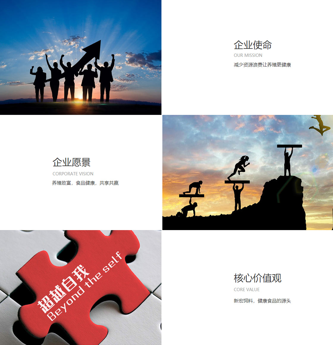 od平台入口官网(图1)